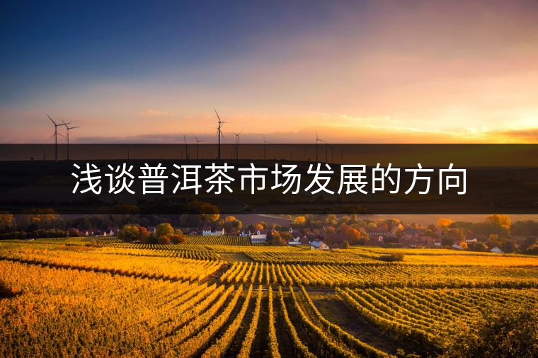 淺談普洱茶市場發(fā)展的方向 淺談普洱茶市場發(fā)展的方向