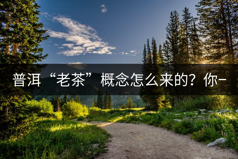 普洱“老茶”概念怎么來的？你一定想不到！