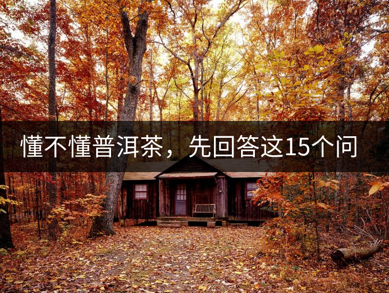 懂不懂普洱茶，先回答這15個(gè)問題試試？