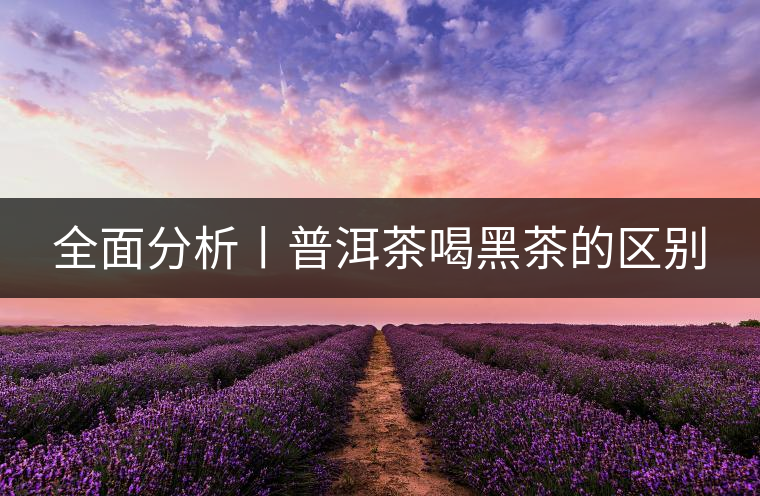全面分析丨普洱茶喝黑茶的區(qū)別