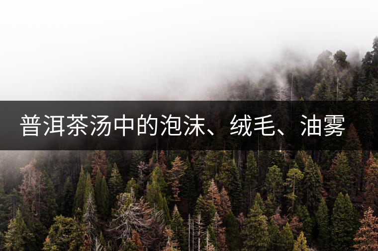普洱茶湯中的泡沫、絨毛、油霧、絮狀物……原來是這些東西！