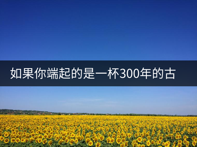 如果你端起的是一杯300年的古樹(shù)茶，那會(huì)是一種怎樣的心境？