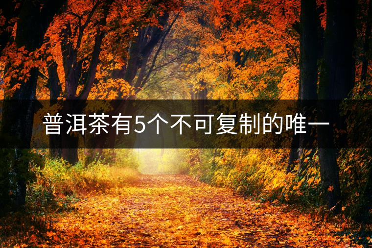 普洱茶有5個(gè)不可復(fù)制的唯一