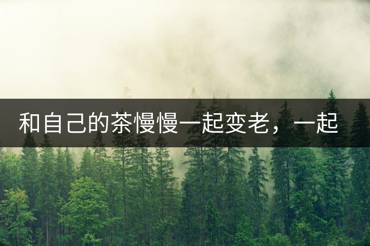 和自己的茶慢慢一起變老，一起變好