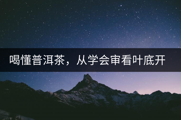 喝懂普洱茶，從學(xué)會(huì)審看葉底開(kāi)始