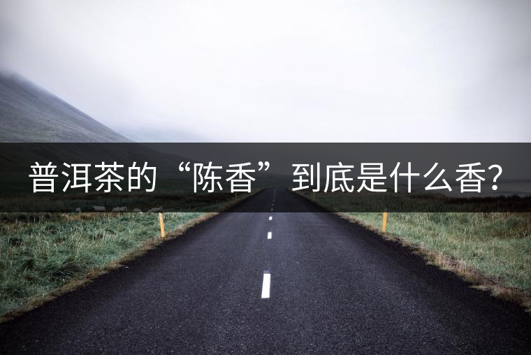 普洱茶的“陳香”到底是什么香？