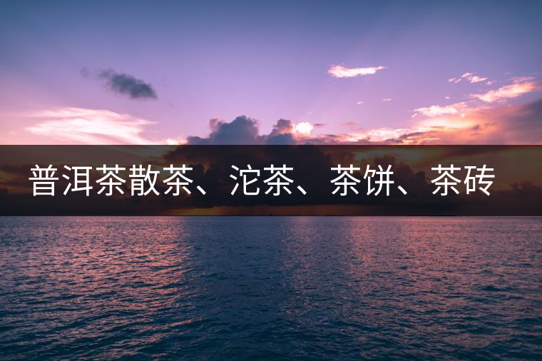 普洱茶散茶、沱茶、茶餅、茶磚哪種更好？