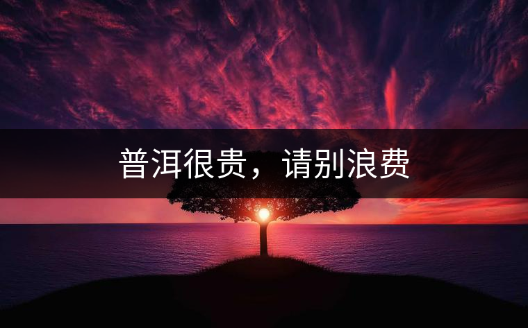 普洱很貴，請別浪費(fèi)