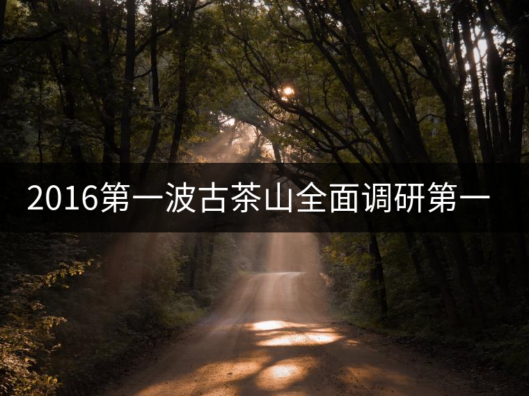 2016第一波古茶山全面調研第一站——易武