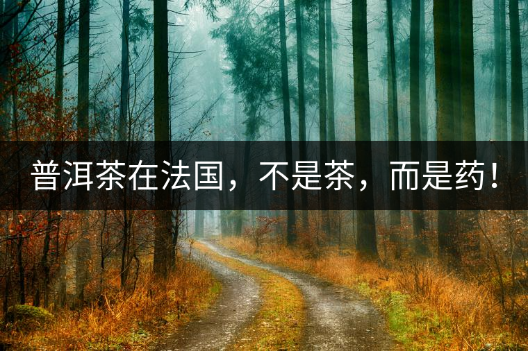 普洱茶在法國，不是茶，而是藥！