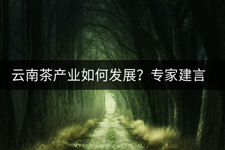 云南茶產(chǎn)業(yè)如何發(fā)展？專家建言：產(chǎn)業(yè)復(fù)興助脫貧