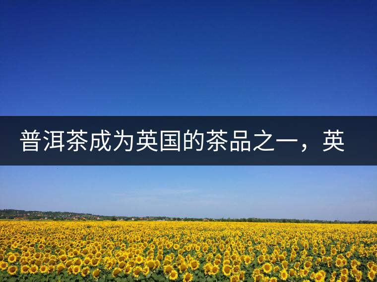 普洱茶成為英國(guó)的茶品之一，英國(guó)雜志給出7大理由