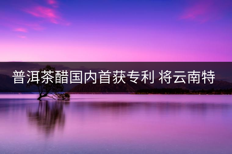普洱茶醋國(guó)內(nèi)首獲專(zhuān)利 將云南特色推往全國(guó)各地