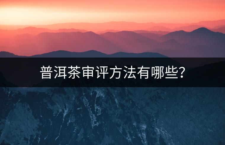 普洱茶審評方法有哪些？
