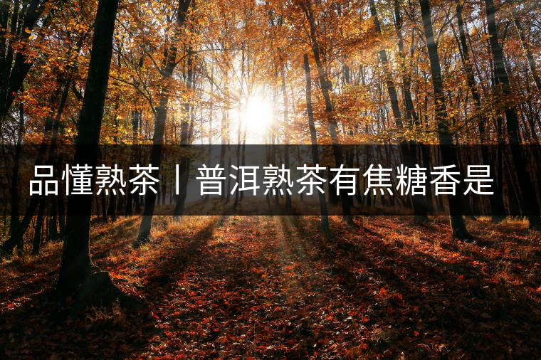 品懂熟茶丨普洱熟茶有焦糖香是好還是不好的表現(xiàn)？