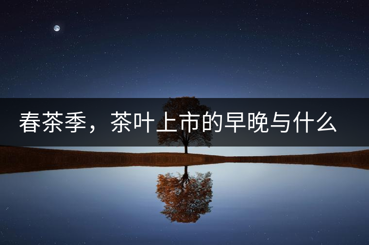 春茶季，茶葉上市的早晚與什么有關(guān)