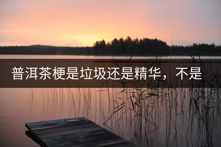 普洱茶梗是垃圾還是精華，不是一個人說的算