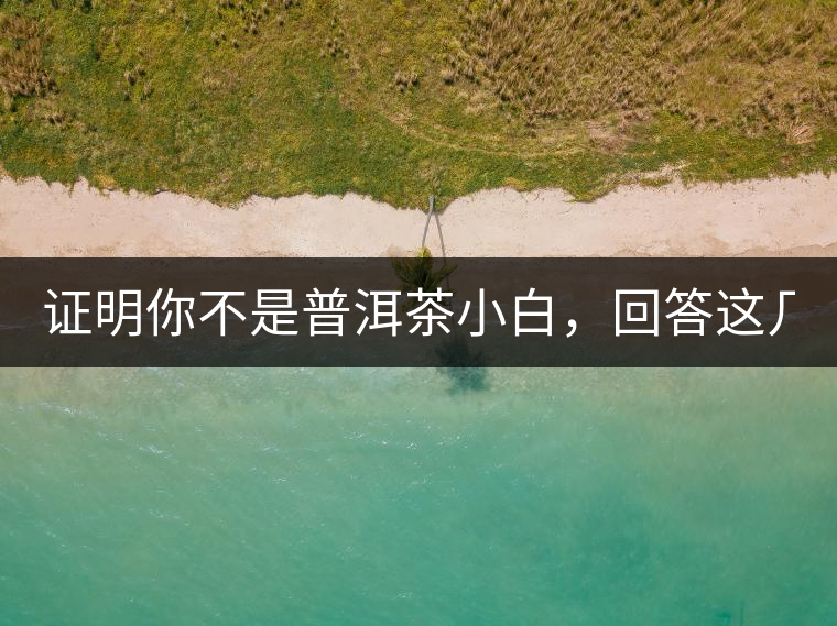 證明你不是普洱茶小白，回答這幾個問題先！