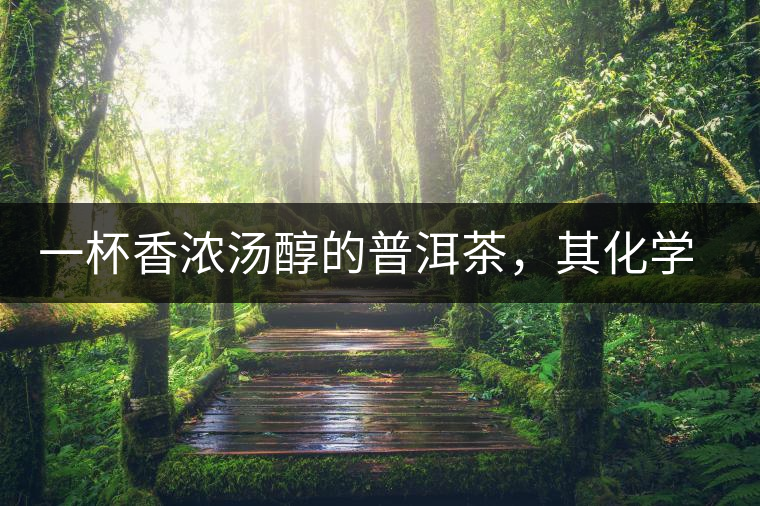 一杯香濃湯醇的普洱茶，其化學成分是怎樣的？