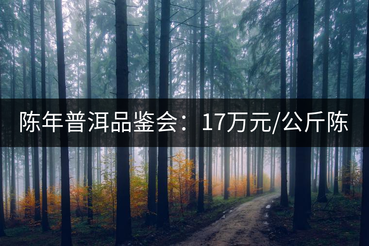陳年普洱品鑒會(huì)：17萬元/公斤陳茶 天月茶城免費(fèi)喝