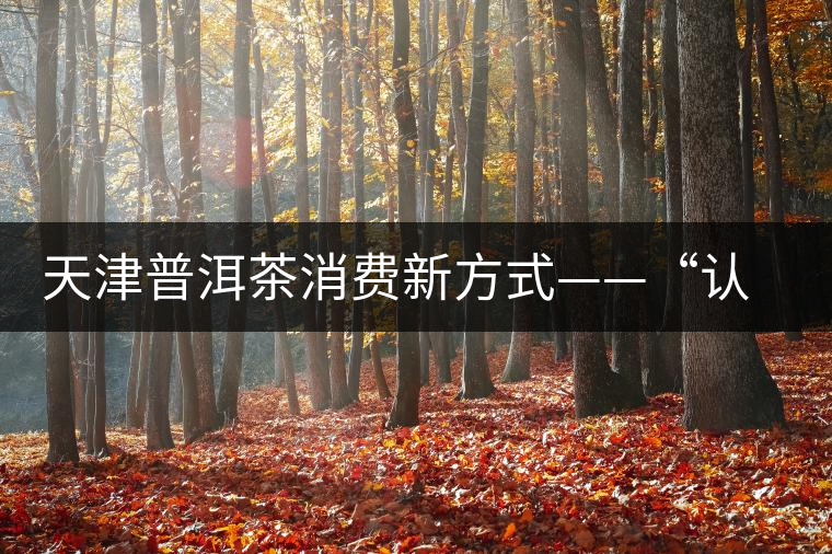 天津普洱茶消費(fèi)新方式——“認(rèn)養(yǎng)”勐海古茶樹