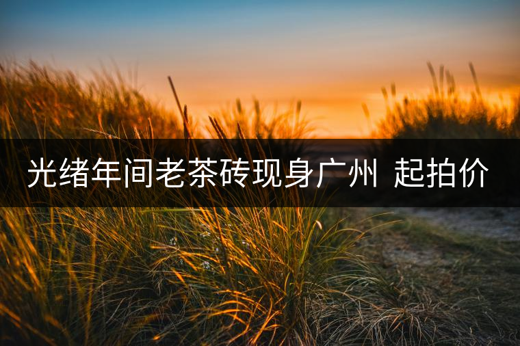 光緒年間老茶磚現(xiàn)身廣州  起拍價(jià)50萬