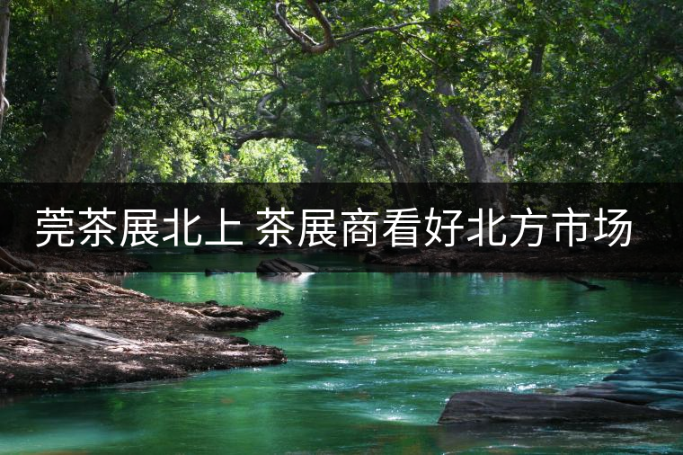 莞茶展北上 茶展商看好北方市場！