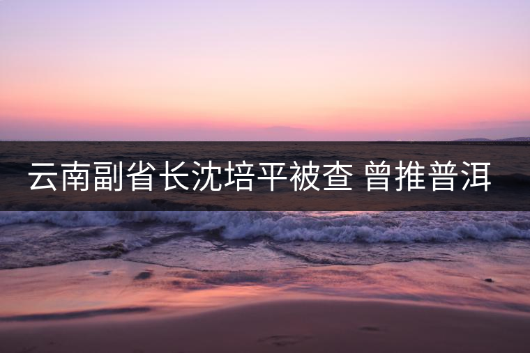 云南副省長(zhǎng)沈培平被查 曾推普洱茶被稱茶市長(zhǎng)