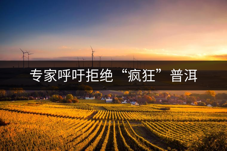 專(zhuān)家呼吁拒絕“瘋狂”普洱