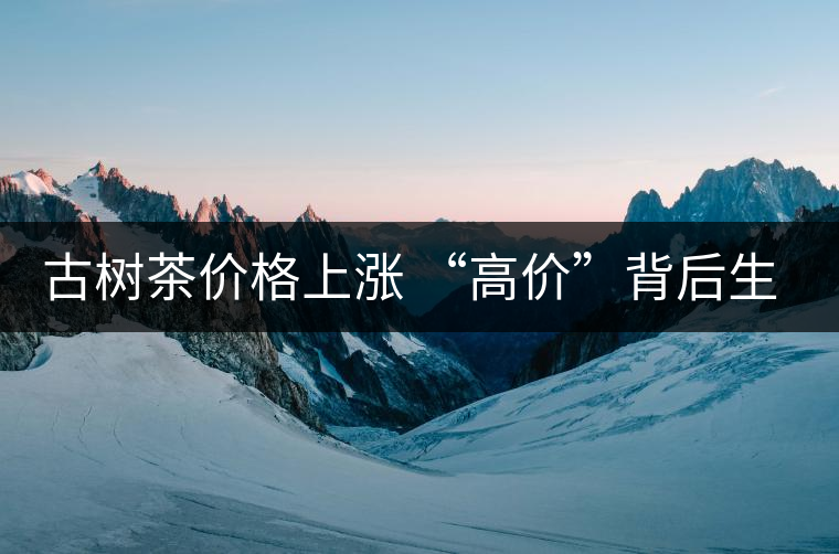 古樹茶價格上漲 “高價”背后生態(tài)環(huán)境令人擔憂 古樹茶價格上漲 “高價”背后生態(tài)環(huán)境令人擔憂