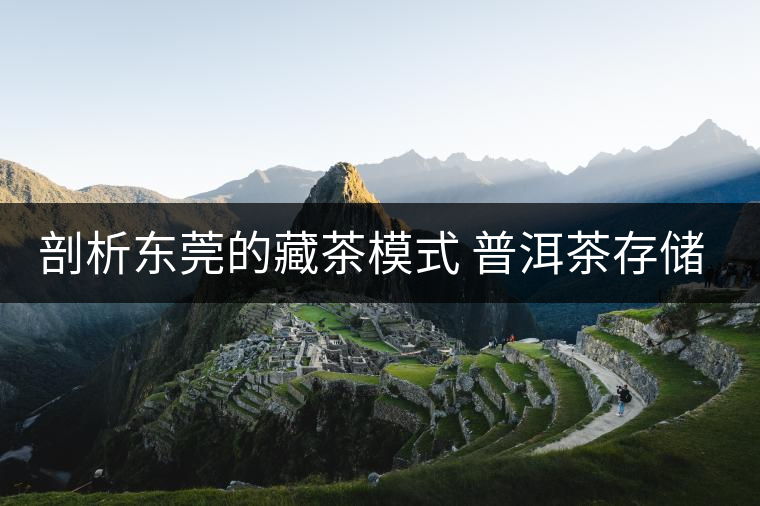 剖析東莞的藏茶模式 普洱茶存儲(chǔ)方法的三階段 剖析東莞的藏茶模式 普洱茶存儲(chǔ)方法的三階段
