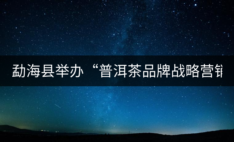 勐?？h舉辦“普洱茶品牌戰(zhàn)略營銷專題講座”