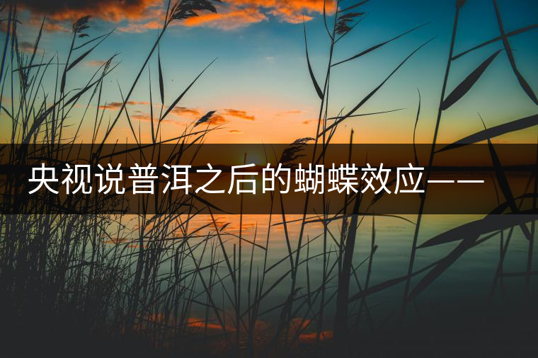 央視說(shuō)普洱之后的蝴蝶效應(yīng)——過(guò)度開(kāi)采會(huì)出現(xiàn)“死循環(huán)”？