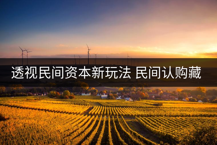 透視民間資本新玩法 民間認(rèn)購藏茶獲利按比分成