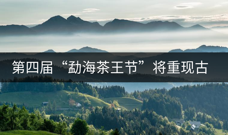 第四屆“勐海茶王節(jié)”將重現(xiàn)古老傳統(tǒng)制茶技藝 第四屆“勐海茶王節(jié)”將重現(xiàn)古老傳統(tǒng)制茶技藝