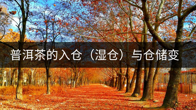 普洱茶的入倉(cāng)(濕倉(cāng))與倉(cāng)儲(chǔ)變化 普洱茶的入倉(cāng)(濕倉(cāng))與倉(cāng)儲(chǔ)變化
