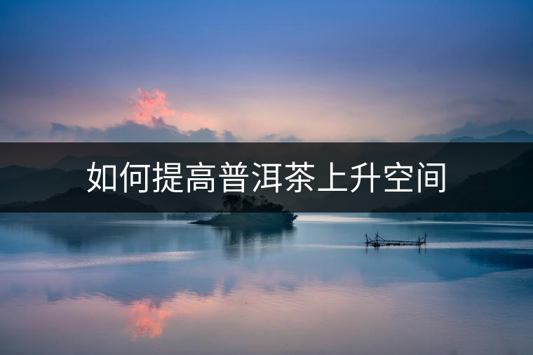 如何提高普洱茶上升空間