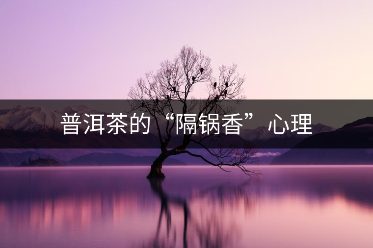 普洱茶的“隔鍋香”心理 普洱茶的“隔鍋香”心理