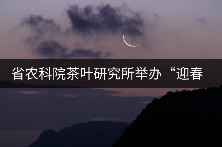 省農(nóng)科院茶葉研究所舉辦“迎春節(jié)、慶元旦”籃球聯(lián)誼賽