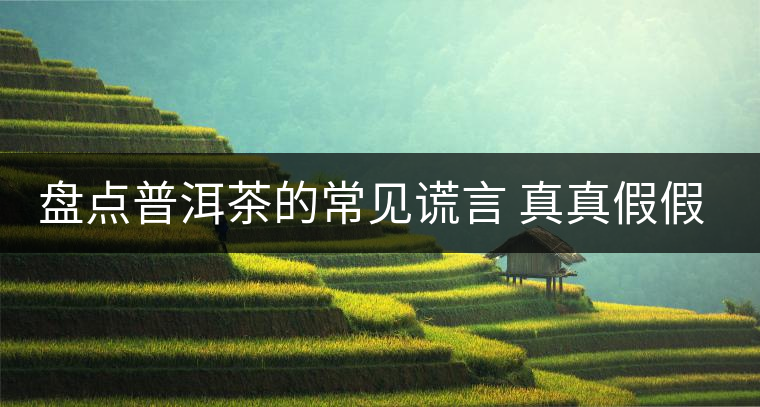 盤點(diǎn)普洱茶的常見謊言 真真假假 看看你認(rèn)可幾條？