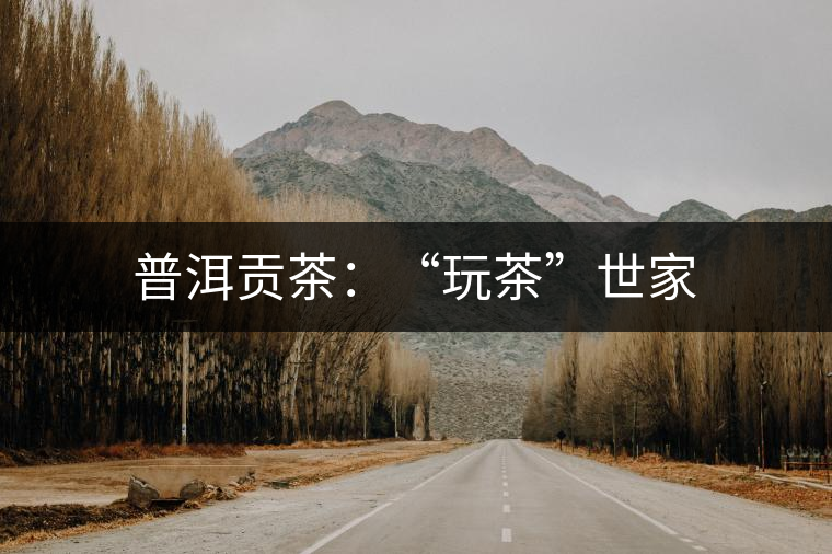 普洱貢茶:“玩茶”世家 普洱貢茶:“玩茶”世家