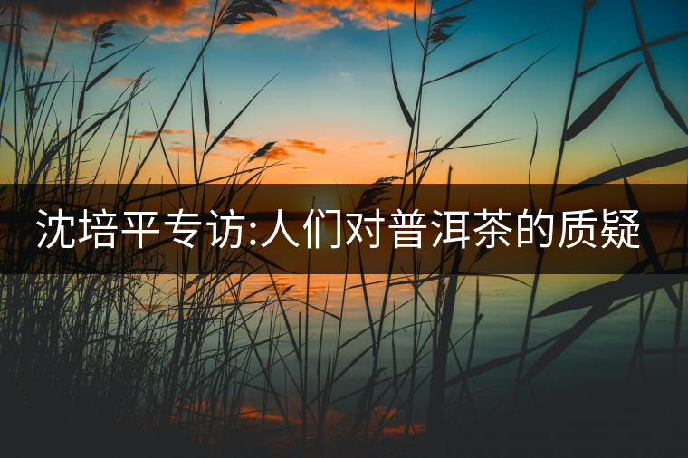 沈培平專(zhuān)訪:人們對(duì)普洱茶的質(zhì)疑有三大好處 沈培平專(zhuān)訪:人們對(duì)普洱茶的質(zhì)疑有三大好處