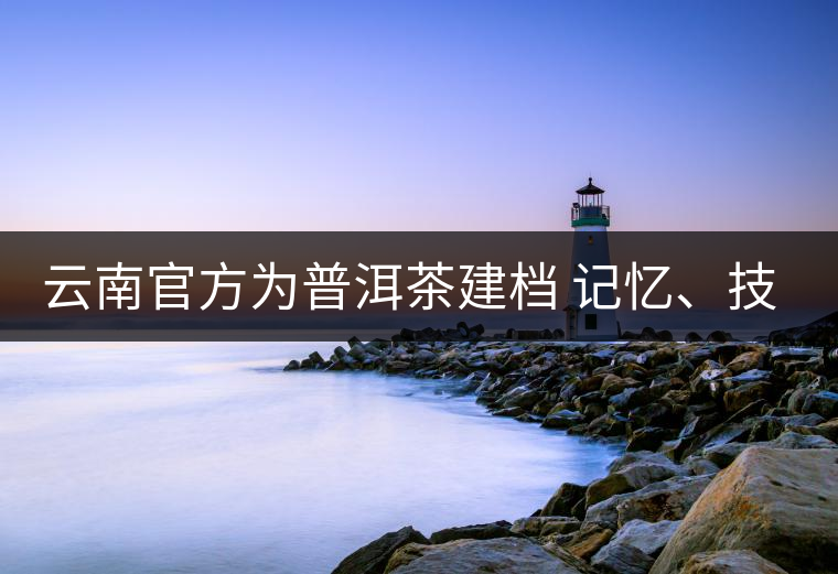 云南官方為普洱茶建檔 記憶、技藝雙傳承