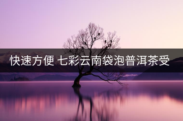 快速方便 七彩云南袋泡普洱茶受京城白領(lǐng)認(rèn)可