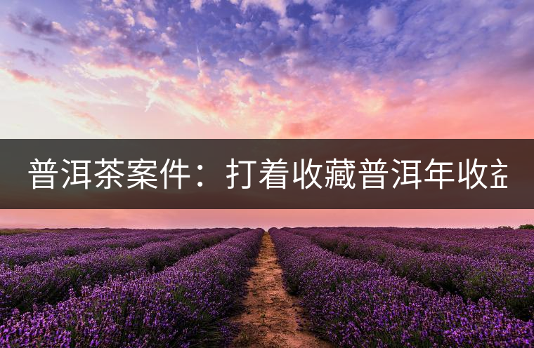 普洱茶案件：打著收藏普洱年收益不低于16%，非法吸收公眾存款