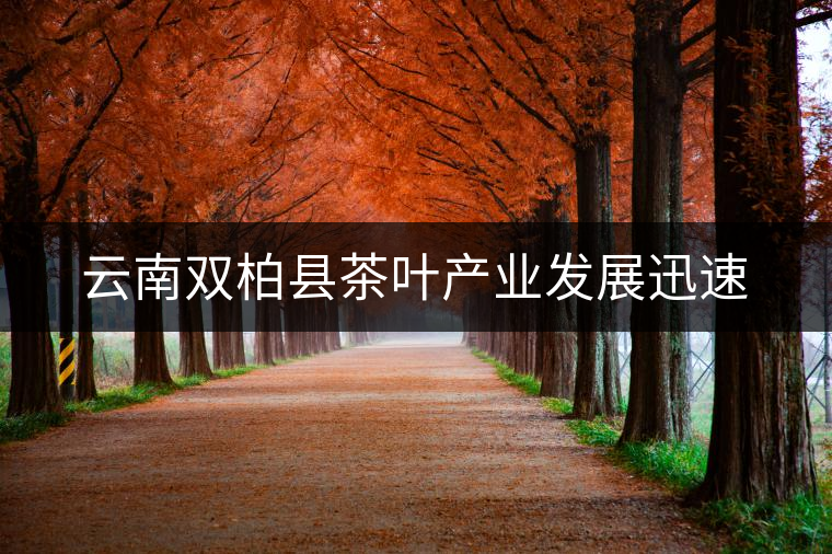 云南雙柏縣茶葉產業(yè)發(fā)展迅速 云南雙柏縣茶葉產業(yè)發(fā)展迅速