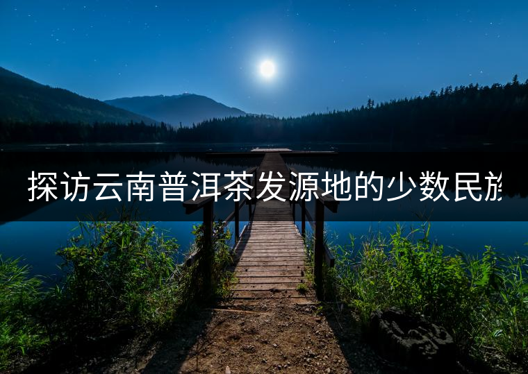 探訪云南普洱茶發(fā)源地的少數(shù)民族“茶人” 探訪云南普洱茶發(fā)源地的少數(shù)民族“茶人”