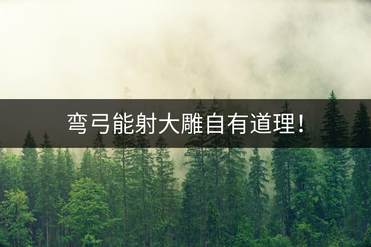 彎弓能射大雕自有道理！