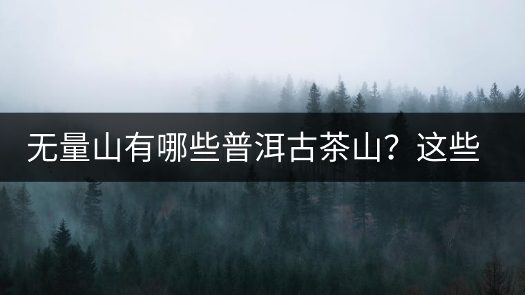 無(wú)量山有哪些普洱古茶山？這些古茶山的茶葉怎么樣？