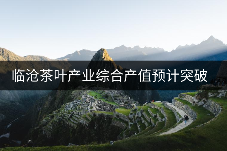 臨滄茶葉產(chǎn)業(yè)綜合產(chǎn)值預計突破億元